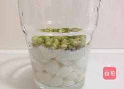 绿豆芽苗菜的做法图解2