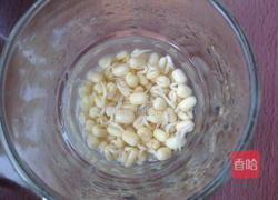 绿豆芽苗菜的做法图解3