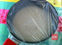 鲜肉包子全过程的做法图解4