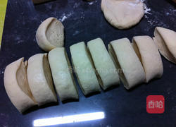 鲜肉包子全过程的做法图解10