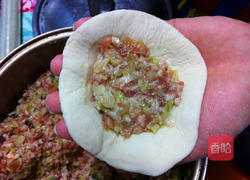 鲜肉包子全过程的做法图解12