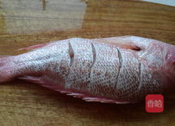橄榄煮火力鱼的做法图解2