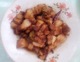 家常炖肉[图]