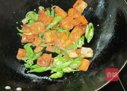 红烧卤肉香干的做法图解7