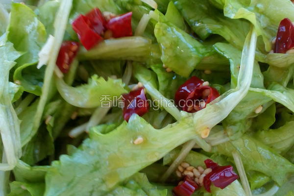凉拌生菜苗