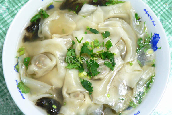 肉菜大馄饨