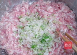 猪肉大葱煎饺的做法图解2