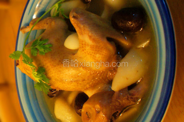 阿胶鸽子汤