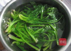 陈醋菠菜的做法图解3