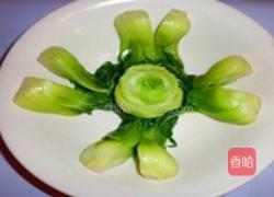 香菇焖土鸡的做法图解4