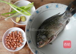 花生炖鲫鱼的做法图解1