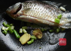 花生炖鲫鱼的做法图解5