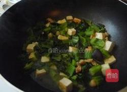 雪里红炖豆腐的做法图解12