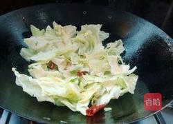 番茄炒手撕包菜的做法图解4