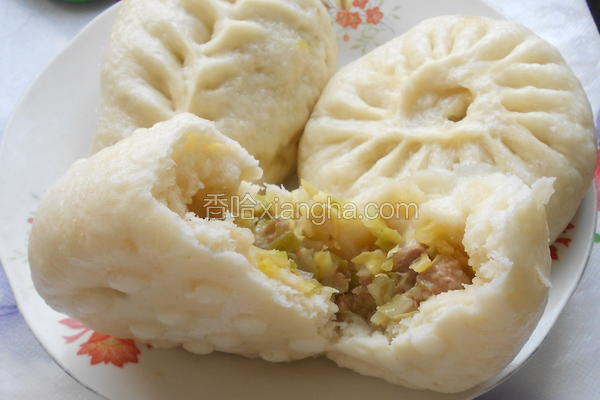 圆白菜包子