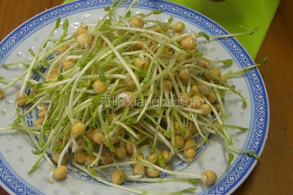 自发豌豆芽
