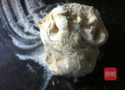 全麦素包的做法图解4