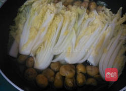 板栗烧白菜的做法图解7