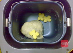 肉松芝士排包的做法图解3