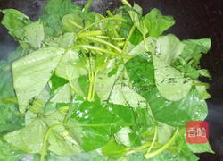 上汤番薯叶的做法图解6