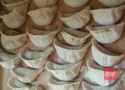 荠菜水饺的做法图解4