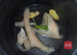 蟹黄汤包的做法图解9