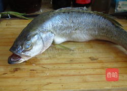 家常炖鲈鱼的做法图解1