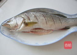 家常炖鲈鱼的做法图解2