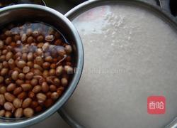 蜜枣粽子的做法图解1