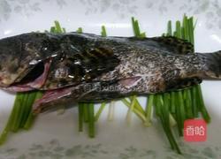 清蒸小龙趸的做法图解2