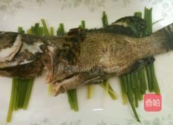 清蒸小龙趸的做法图解3