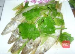 清蒸沙钻鱼的做法图解5