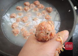 纯手工猪肉丸的做法图解7