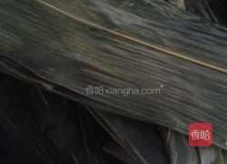 小枣粽子的做法图解3