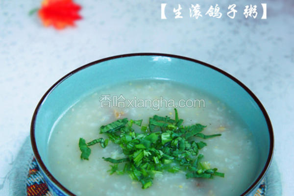 生滚鸽子粥