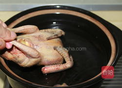 虫草鸽子汤的做法图解5