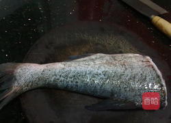 自制手工鱼丸的做法图解1