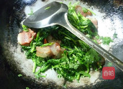 腊肉炒茼蒿的做法图解6