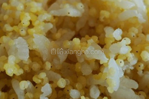 金银饭