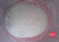 芝麻油条的做法图解3