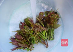 香干拌香椿的做法图解2