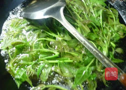 香干拌香椿的做法图解4