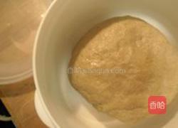 荞面荠菜豆渣包的做法图解3