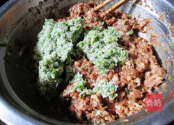 槐花包子的做法图解7