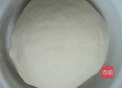 黄金提子馒头的做法图解3