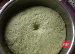 艾草馒头的做法图解6