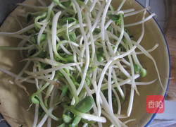 明太鱼豆芽汤的做法图解2