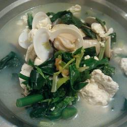 白贝炖豆腐的做法[图]