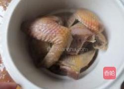 田七炖乳鸽的做法图解4