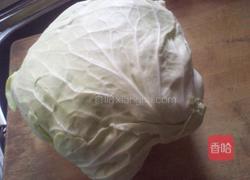 凉拌包包菜的做法图解1